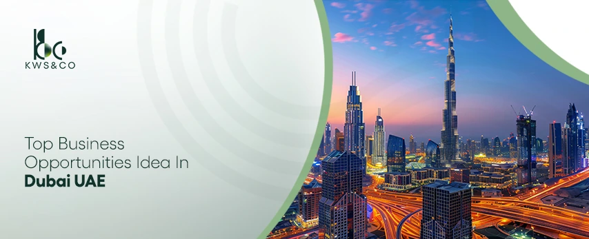 top uae business oppertunities ideas in uae dubai