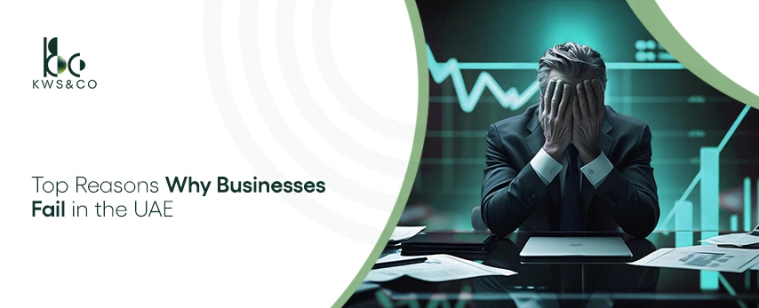 reasons why business fails in the uae
